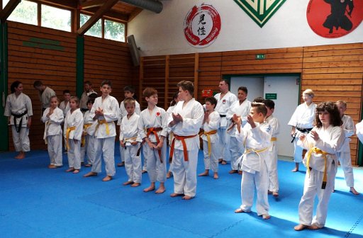 DSC03813 (Large).JPG